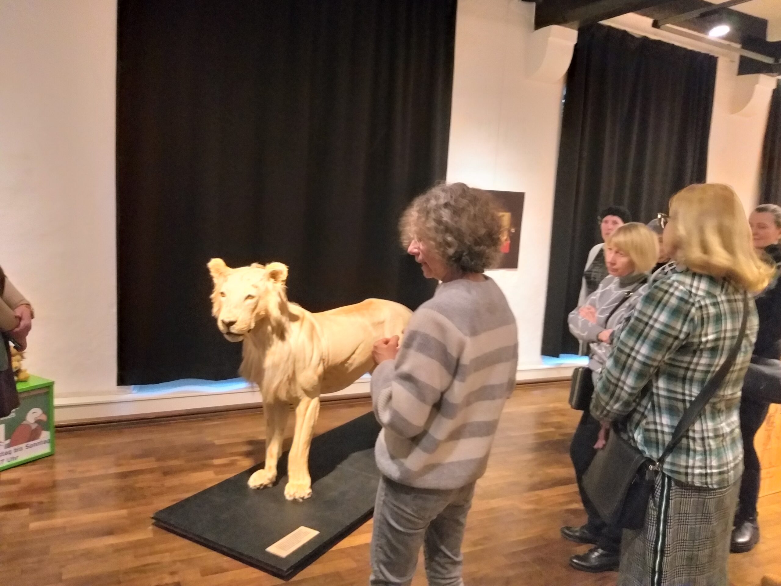 Besuch im Naturkundemuseum