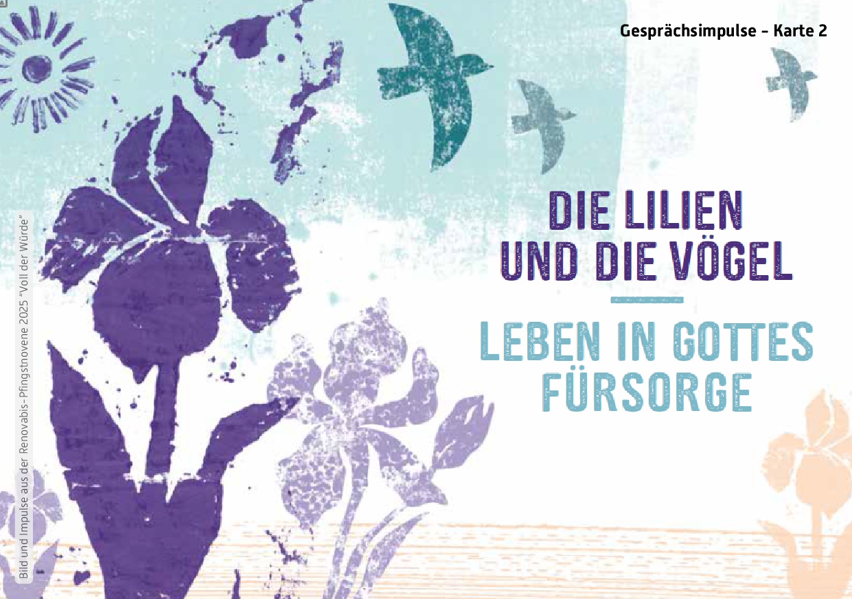 2025-menschenwuerde-impulskarten-003